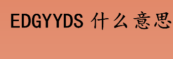 EDGYYDS什么意思？edgyyds什么含义？