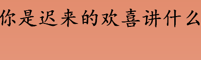 你是迟来的欢喜讲什么 你是迟来的欢喜内容简介