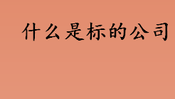 什么是标的公司 标的公司的基本情况介绍