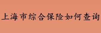 上海市综合保险如何查询？上海综合保险怎么领取？