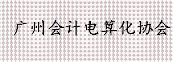广州会计电算化协会是什么 广州会计电算化协会做什么的