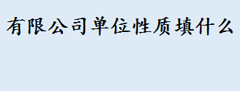 有限公司单位性质填什么 私企的单位性质是其他企业吗