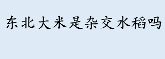 东北大米是杂交水稻吗？常规稻分为哪些？袁隆平养活了多少人口？