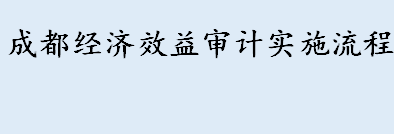 成都经济效益审计实施流程 经济效益审计三种主体及分工介绍