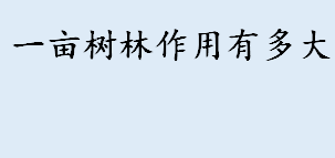 一亩树林作用有多大 空气中氧气的体积约占20%是什么意思