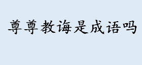 尊尊教诲是成语吗？尊尊教诲和淳淳教诲有什么区别？ 