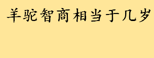 羊驼智商相当于人的几岁？羊驼幼崽多少钱一只？羊驼为什么吐口水？