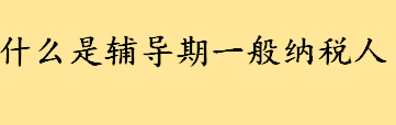 什么是辅导期一般纳税人 辅导期一般纳税人如何申报增值税