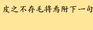 皮之不存毛将焉附下一句是什么 皮之不存毛将焉附的哲学道理