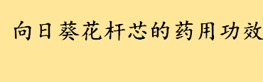 向日葵花杆芯的药用功效与价值 葵花籽杆里面的瓤熬水喝有啥功效