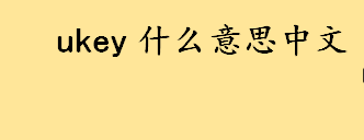 ukey什么意思中文？税务ukey初始口令是什么？ukey参数设置方法