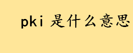 pki是什么意思中文？公钥密码算法是什么？一文告诉你PKI有哪些用途 