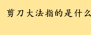 剪刀大法指的是什么详细操作？剪刀大法找猫靠谱吗？猫咪丢了该怎么找？