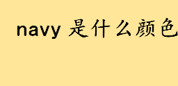 navy是什么颜色蓝色还是藏青 navy在中国是什么档次的