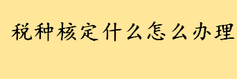 税种核定什么怎么办理？税种核定办理流程 电子税务局如何增加税种认定