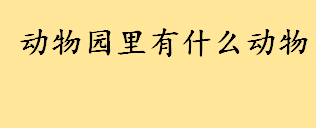 动物园里有什么动物名称大全 海洋馆100种动物名字盘点