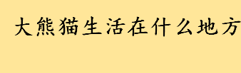 大熊猫生活在什么地方栖息地？大熊猫的天敌介绍 熊猫的智商相当人几岁