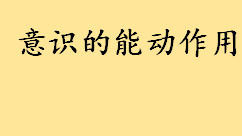 意识的能动作用高中知识点 意识能动性经典例子介绍