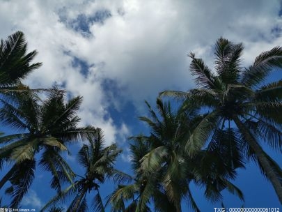 梅雨还没来新一波高温就要登场 江苏省气象台发布高温黄色预警信号