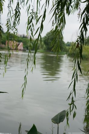 七里河焕新归来 南京江北新区4.5公里沿河滨水空间全面升级 