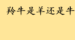 羚牛是羊还是牛一样吗 牛科动物和羊科动物的区别介绍