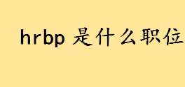 hrbp是什么职位hrbp和hr哪个更高级 hrbp薪资待遇怎么样