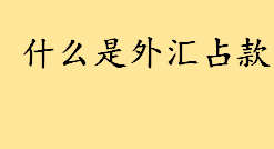 什么是外汇占款通俗解释？可兑换货币有几个国家 可兑换货币有哪些