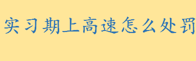 实习期上高速怎么处罚 驾驶证实习期扣分规定汇总