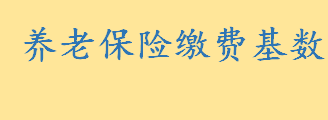 养老保险缴费基数什么意思 工资5000元养老保险缴费基数是多少