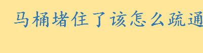 马桶堵住了怎么办如何快速疏通 马桶为什么叫马桶什么原理