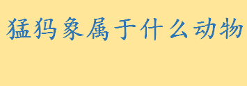 猛犸象属于什么动物？猛犸象生长繁殖情况 猛犸象化石出土最多的是哪