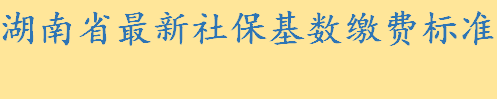 湖南省最新社保基数缴费标准 灵活就业人员社保基数是多少