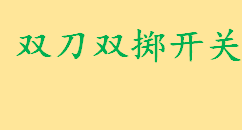 双刀双掷开关是什么包括哪些 双刀双掷开关的接线方式及工作原理