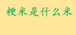 粳米是什么米和大米有区别吗 粳米在中国的种植历史有多久了