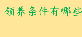 领养条件有哪些民法典相关规定 领养手续是怎样的程序