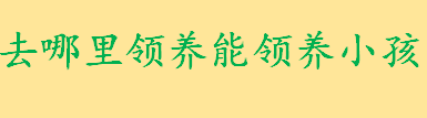 去哪里领养小孩？ 被收养人的范围有哪些法律规定？