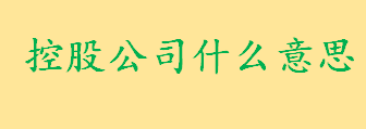 控股公司什么意思注册条件是什么 控股公司主要类型有哪些