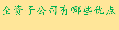 全资子公司有哪些优点？全资子公司有哪些缺点 分公司具有法人资格吗