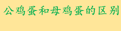 公鸡蛋是什么和母鸡蛋有啥区别 为什么人们喜欢吃公鸡蛋 