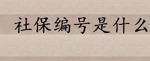 社保编号是什么怎么查询 社保编号有个人和单位之分吗