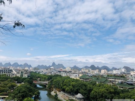 金秋时节 五彩斑斓的廊坊临空经济区临空秀林美不胜收 