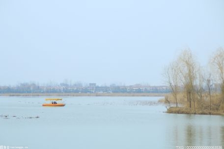 因“保护”鄱阳湖成为候鸟天堂 因“候鸟”千年古镇焕发新活力