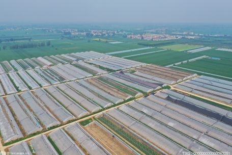 秋粮收购工作有序展开 今年南京市准备收购仓容为33.9万吨