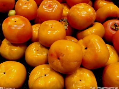“柿”外桃源 广州市从化区的柿子林成网红打卡点 