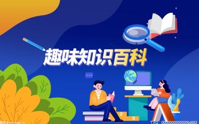 电脑上的谷歌浏览器为什么无法访问网站？如何解决？