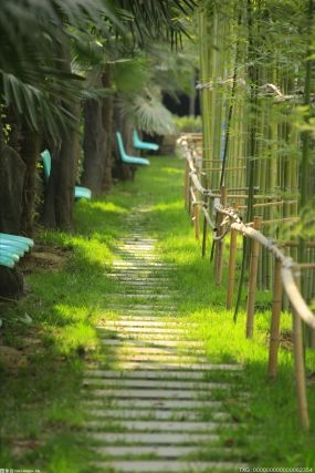 农业种植合作加盟项目有哪些？有机农业种植怎么样？_全球快报